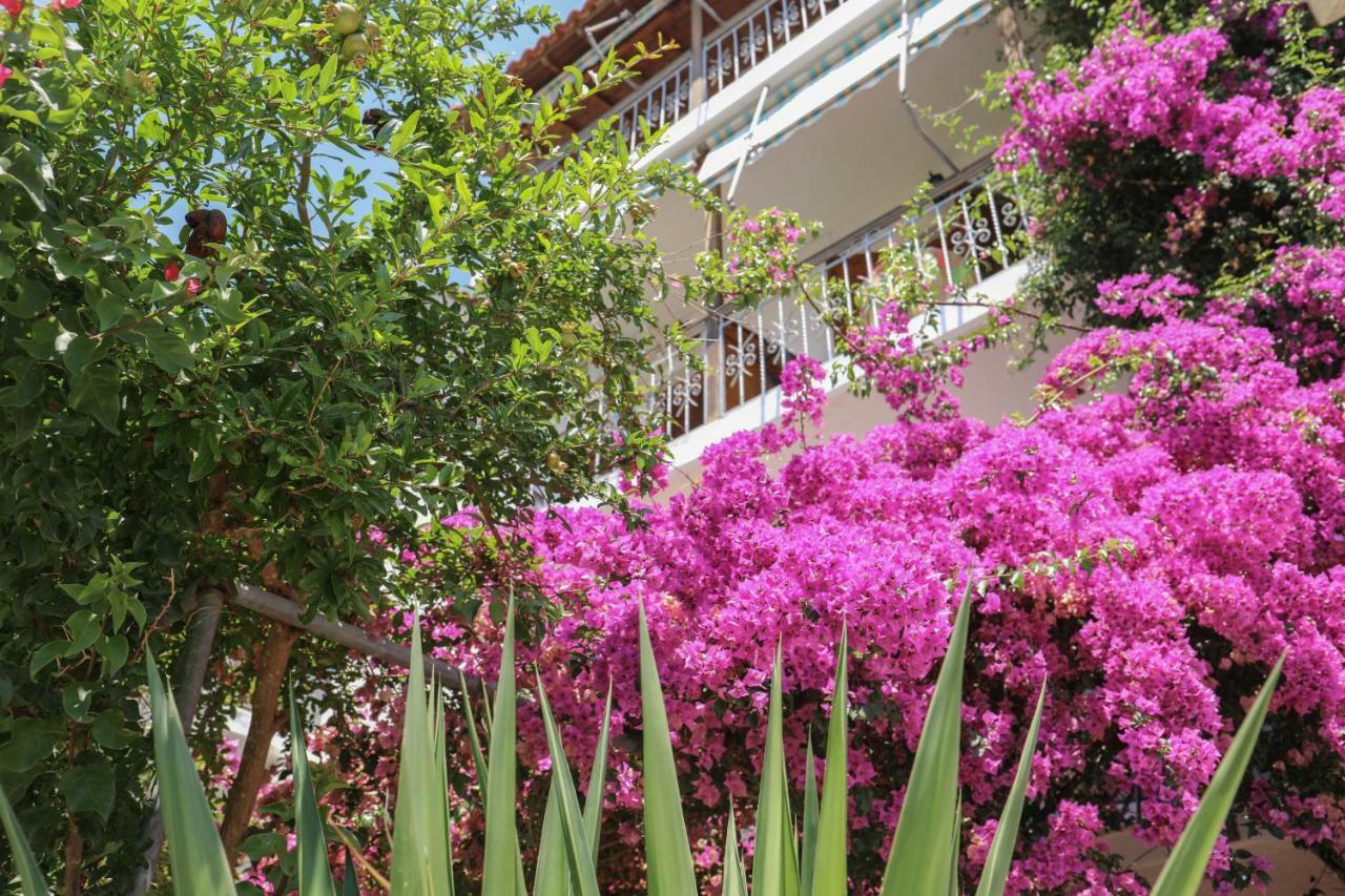 Vaya Zorba Studios Skiathos Exterior foto